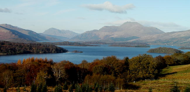 Ben Lomond Autumn